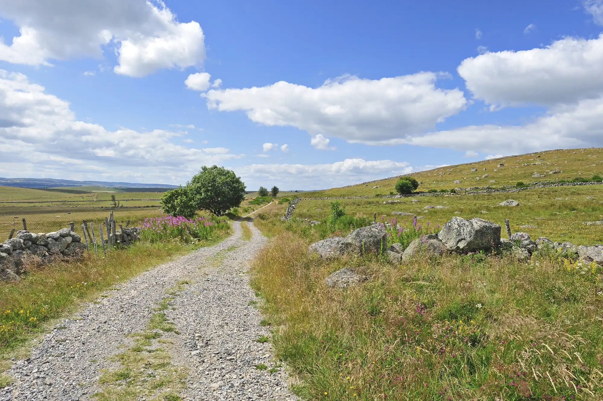 bannière Navettes sur le Chemin de Compostelle