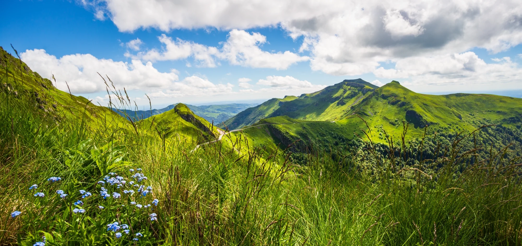 bannière Wanderung durch die Vulkanlandschaft des Cantal