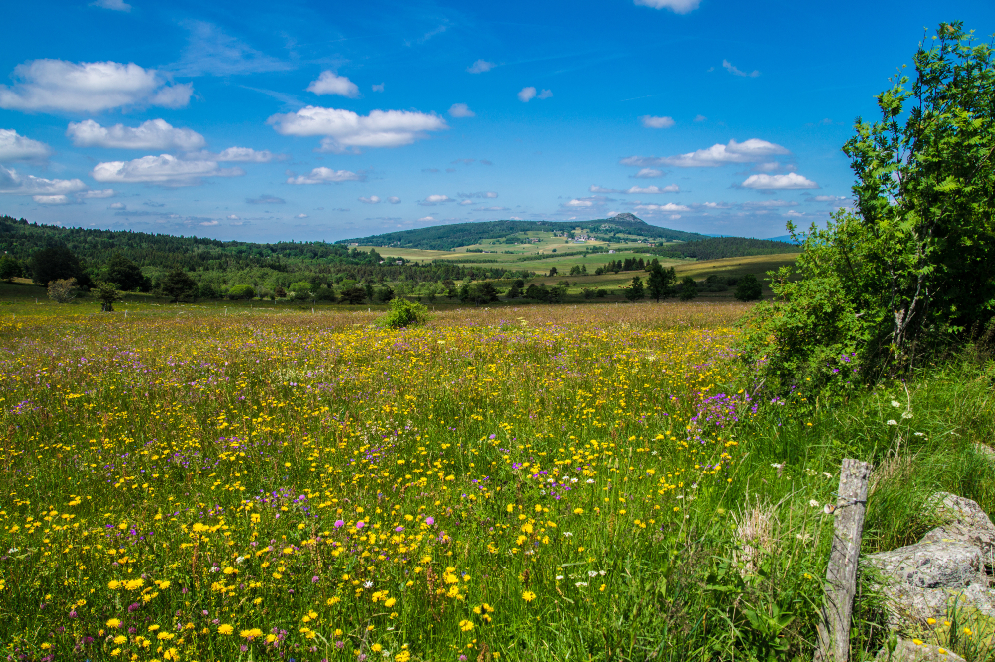 bannière Le Chemin de Saint-Régis