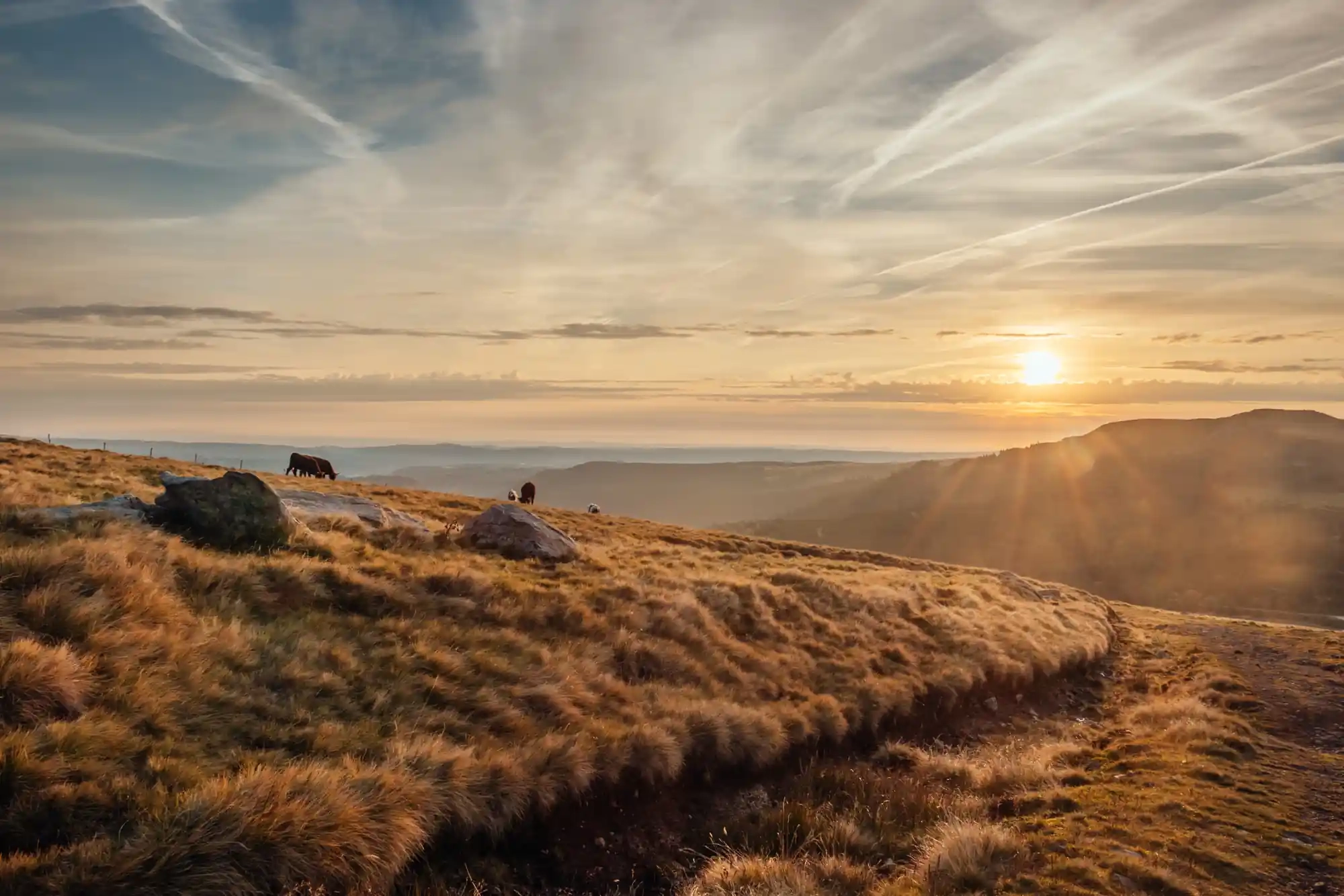 bannière Des Monts du Cantal à la Vallée du Lot