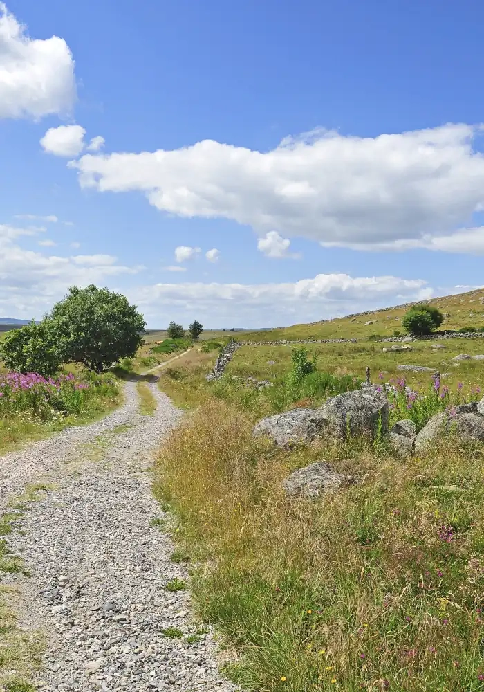 bannière Navettes sur le Chemin de Compostelle