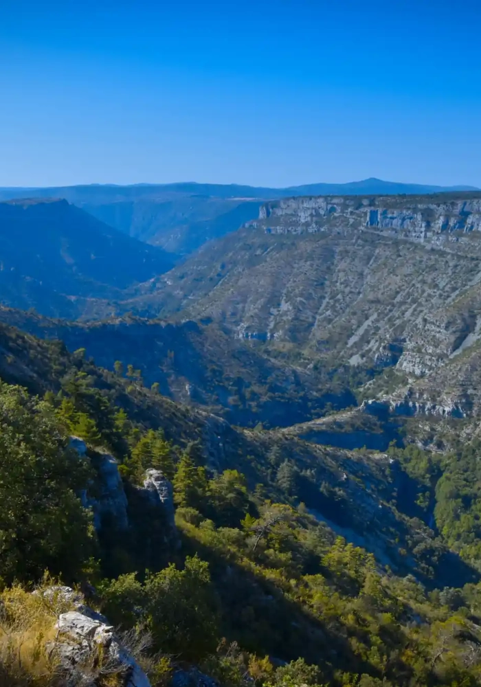 bannière Le GR7 : la traversée du Massif Central par les Parcs 