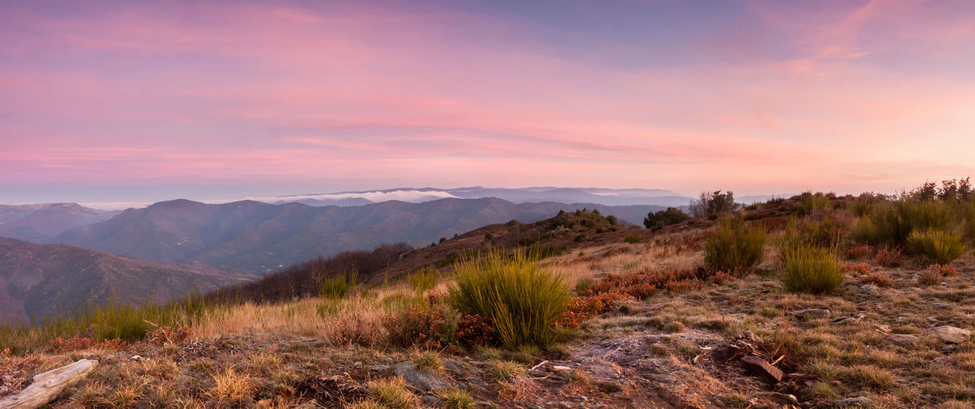 bannière Cévennes, causses & Aubrac